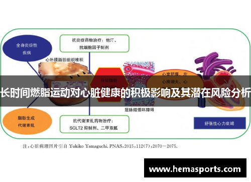 长时间燃脂运动对心脏健康的积极影响及其潜在风险分析