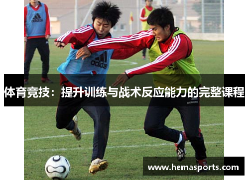 体育竞技：提升训练与战术反应能力的完整课程