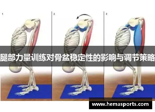 腿部力量训练对骨盆稳定性的影响与调节策略